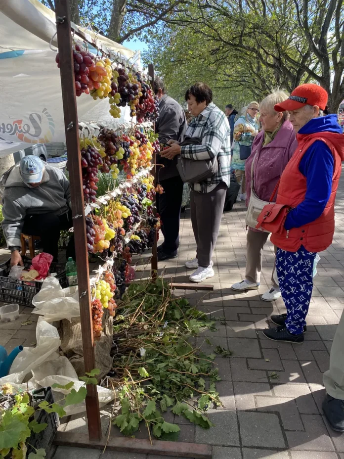 В Геленджике открылась выставка-ярмарка садово-ландшафтного направления
