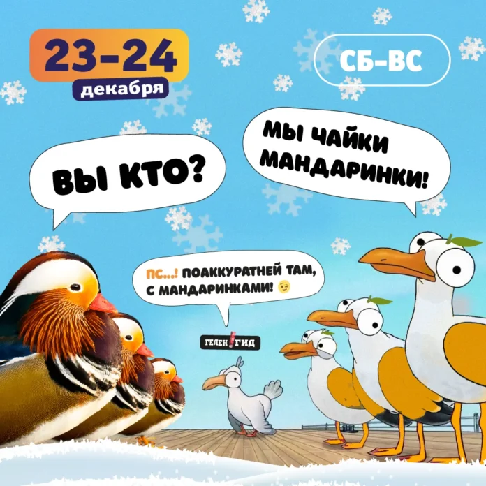 геленджик афиша 23 24 декабря