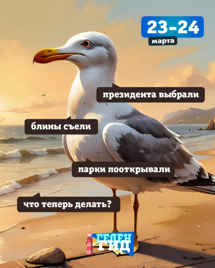 23-24 марта Геленджик