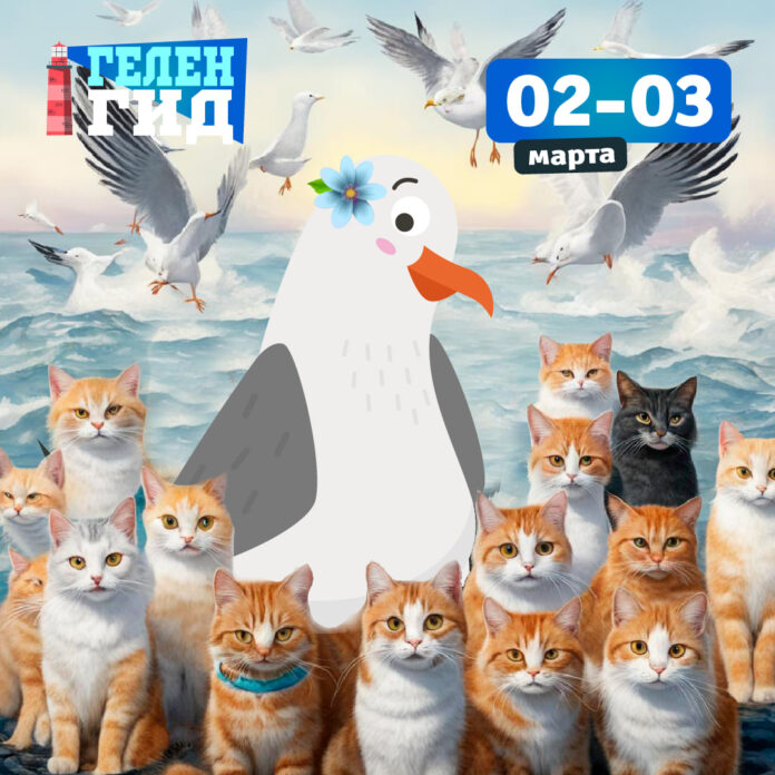 Геленджик 2-3 марта